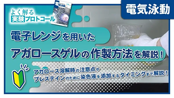 使用動画サムネイル